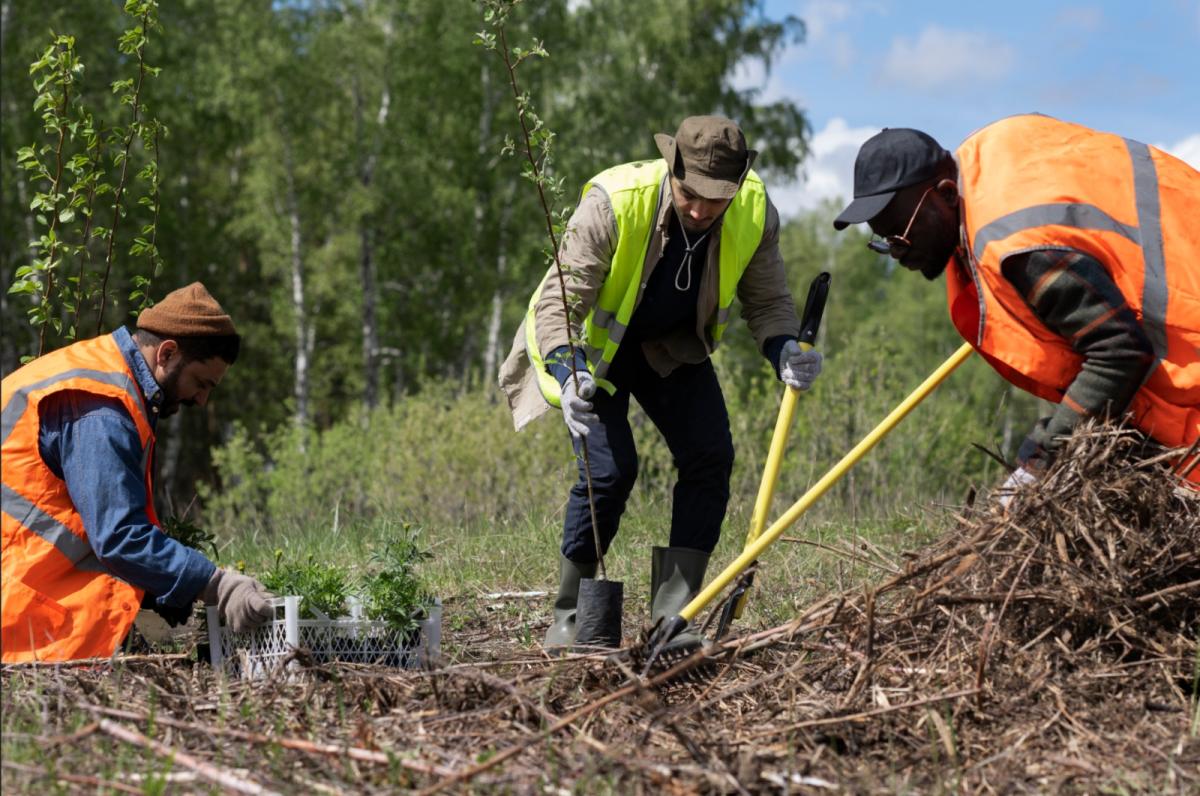 Geotechnical Investigation Services
